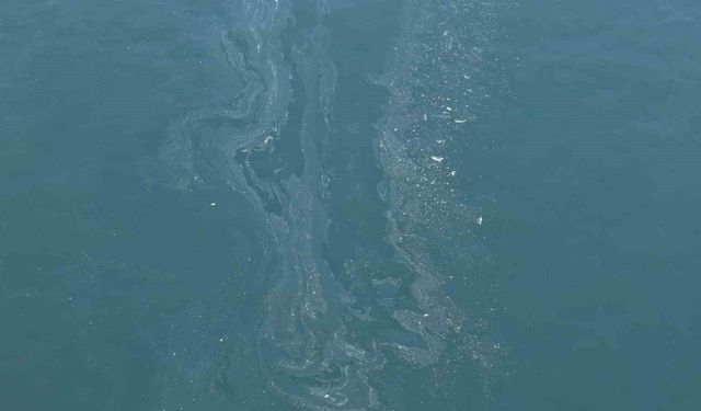 İzmir Körfezi'nde yine kirlilik tespit edildi