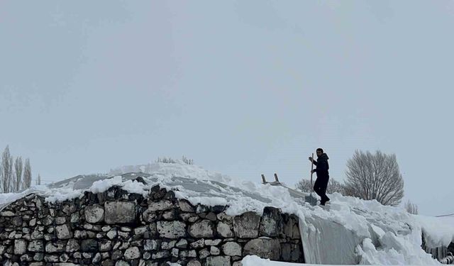 Kars'ta köylerde ahırlar için seferberlik