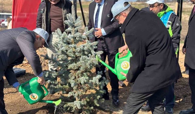 Kırklareli'nde 3 bin 750 fidan dikildi
