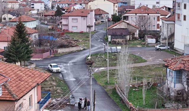 Mahallenin maskotu oldular, baharla birlikte yuvalarına döndüler