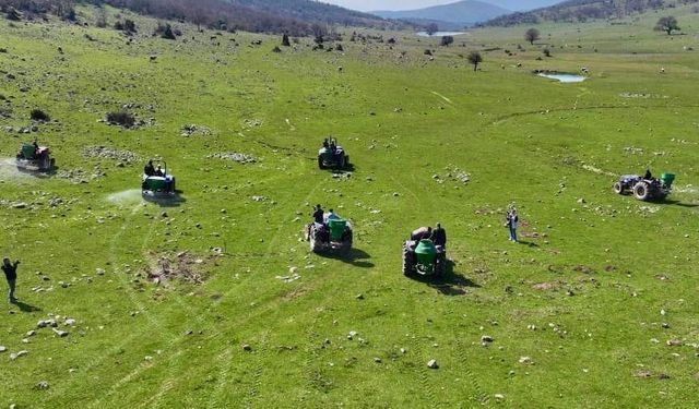 Manisa'da meralara 8,5 tonluk bereket