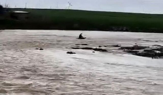 Mardin'de taşan derede sal keyfi