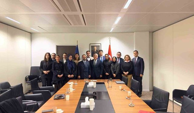 Mardin'den Brüksel'e uzanan başarı hikayesi