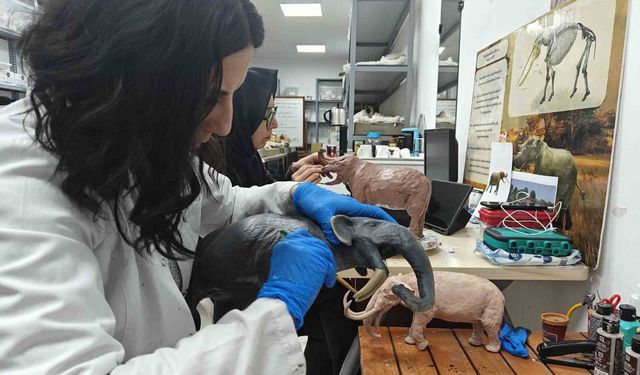 Milyon yıllık tarih minyatürleştiriliyor