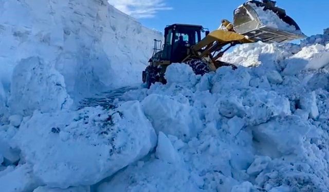 Muş'ta mahsur kalan vatandaşlar kurtarıldı