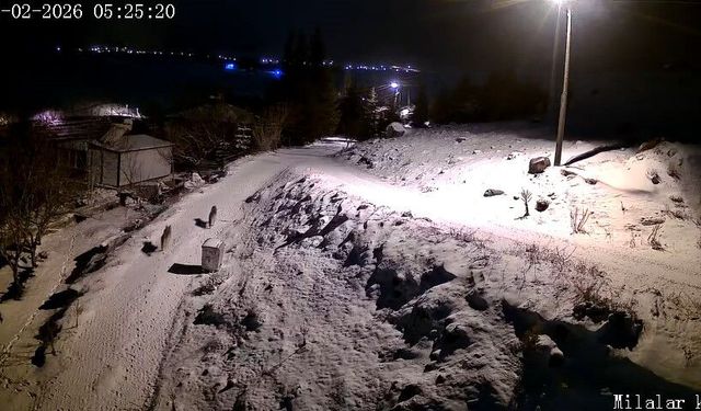 Niğde'de aç kalan kurtlar köye indi