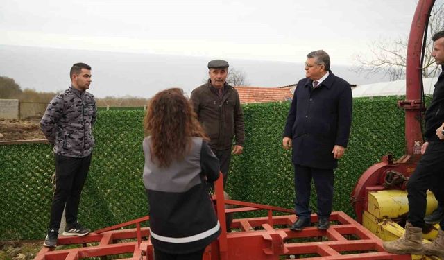 Sinop'ta hayvancılıkta kalite artıyor