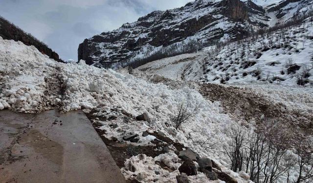 Şırnak'a son dönemlerin en büyük çığı düştü