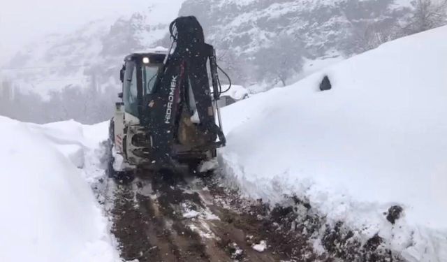 Şırnak'ta kar yolları kapattı