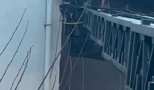 Takıldığı ipte asılı kalan güvercin kurtarıldı