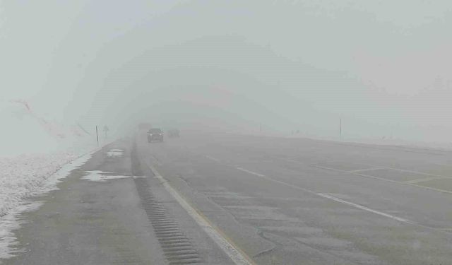 Van'da sis ve kar yağışı yüksek kesimlerde etkiliyor