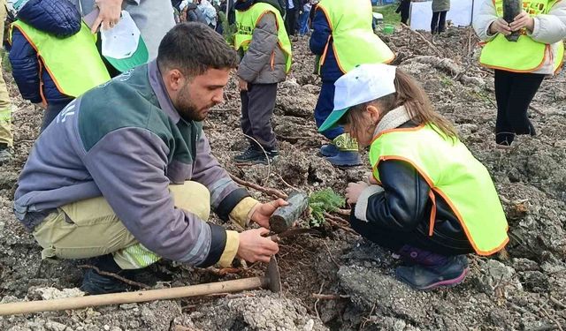 Yanan sahada geleceğe nefes: Aliağa'da yeni orman için ilk fidanlar dikildi
