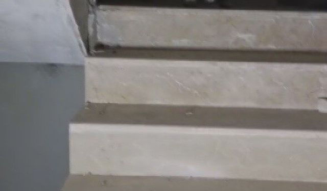 Yıkılacak binadaki yavru köpekleri kurtaran hayvansever yürekleri ısıttı