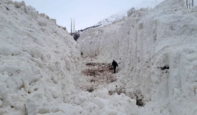 Yüksekova'da çığ meyve bahçelerini yuttu: Köy yolu kar tünelleriyle açılıyor