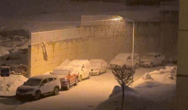 Yüksekova'da kar yağışı etkili oldu