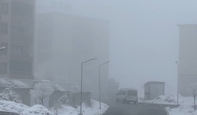Yüksekova'da yoğun sis seyirlik görüntüler oluşturdu