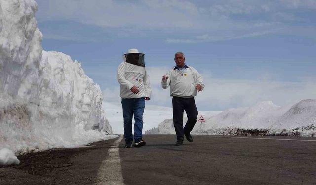 2581 rakımda arıcılardan yol açma çağrısı