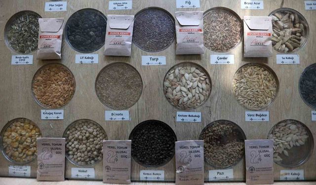 3 milyon yerel tohum dağıtıldı