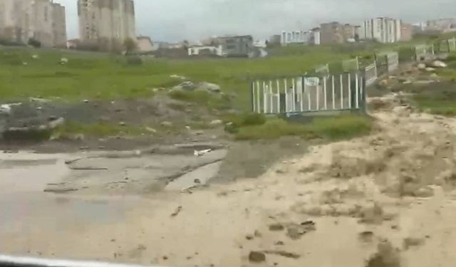 Afetin ortasında tehlikeli oyun: Çocuklar sel sularında oynadı