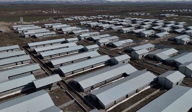 Ağrı'da 307 ahırlık hayvancılık üssü hayata geçiyor
