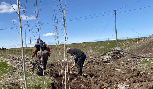 Ağrı'da vatandaşlar imece usulü fidan dikerek geleceğe nefes oluyor