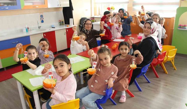 Ana sınıfında portakallar kuşlar için yemlik ve yuvaya dönüştü