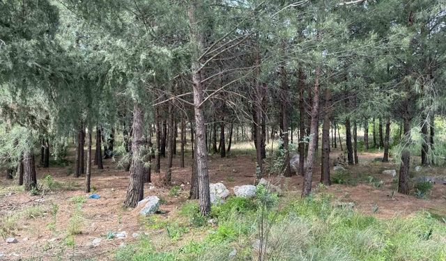 Anne ve oğlunu öldüren katil akrabaların çaldıkları altınları kuyumcuya sattıkları ortaya çıktı