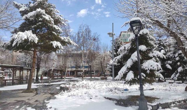 Ardahan'da kar kartpostallık görüntüler sundu