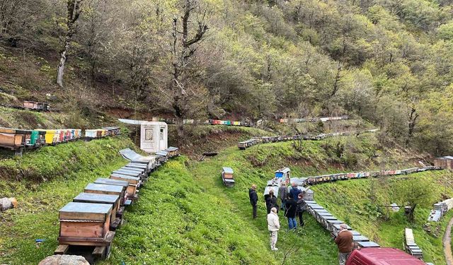 Artvin apiturizmde gelecek vadediyor