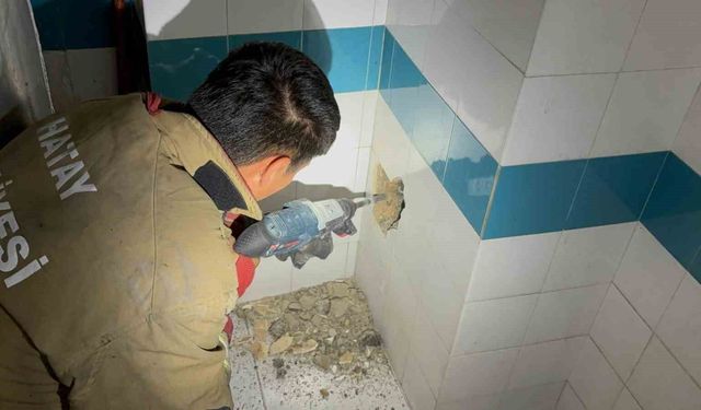 Bacadan düşerek mahsur kalan yavru kedi duvarın kırılmasıyla kurtarıldı