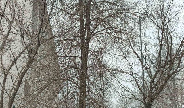 Bahar gelmeden kış geri döndü; Diyadin'e kar sürprizi