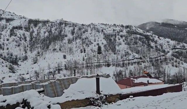 Bahar yerini kışa bıraktı: Erzincan Refahiye'de kar yağışı etkili oldu