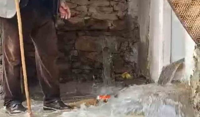 Bahçesaray'da dağlarda kar, mahallede sel