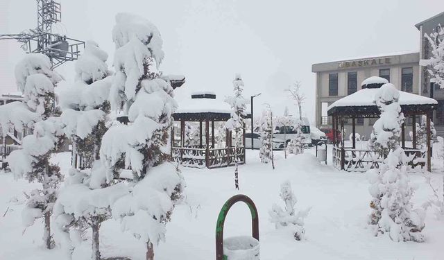 Başkale'de kar yağışı