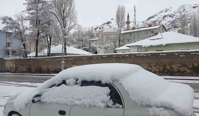 Başkale'de nisan ayında kar yağışı