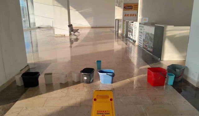 Bilecik Şehirlerarası Otobüs Terminali hem vatandaşları hem de esnafı canından bezdirdi