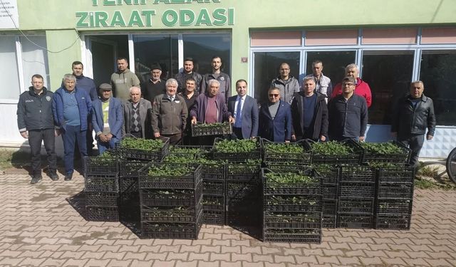 Bilecik'te 8 bin çilek fidesi üreticiyle buluştu