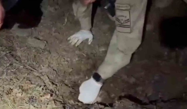 Bilezikler için anneyi ve oğlunu öldüren katil morga gidip, olayı gerçekleştirenleri gördüğünü söylemiş