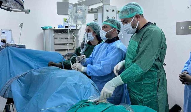 Bingöl'de PNL yöntemiyle böbrek taşı tedavisinde sevkler azaldı