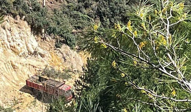 Buldan'da tartışmalı maden sahasında ağaç kesimi başladı