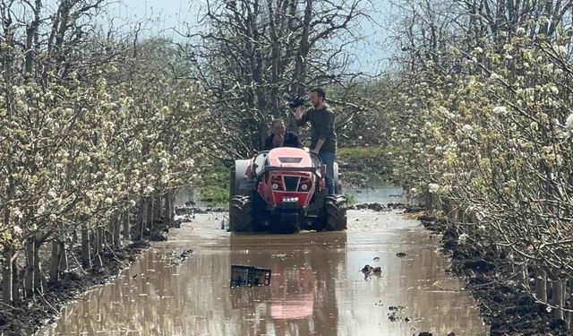 Bursa'da yüzlerce dönüm şeftali ve armut bahçesi su altında