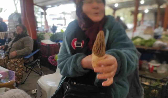 Çanakkale'de dağ köylerinde kuzugöbeği gelir kapısı oldu