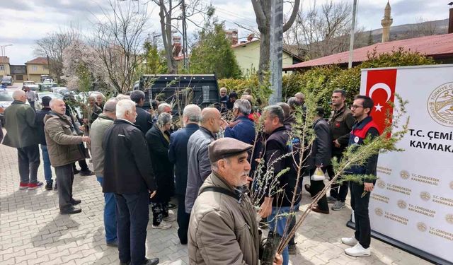 Çemişgezek'te vatandaşlara ücretsiz fidan dağıtıldı
