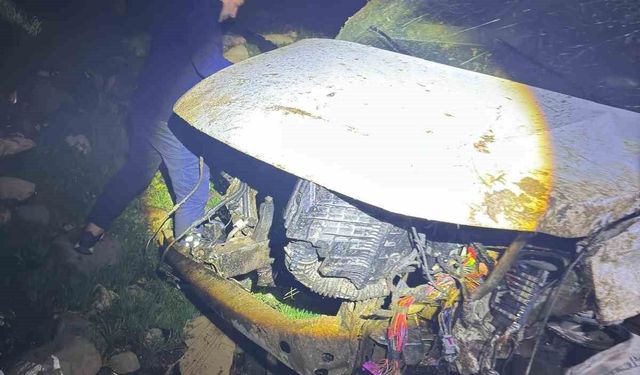 Cizre'de kamyonet şarampole uçtu: 1 ağır yaralı