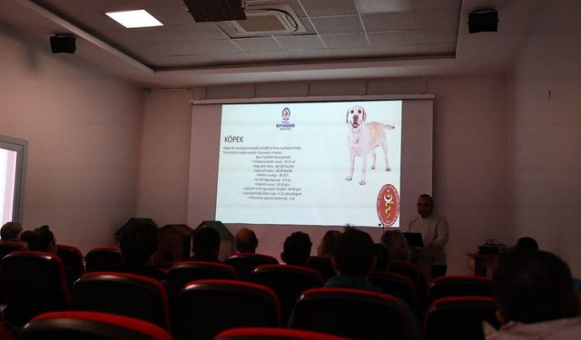 Denizli'de pet shoplara eğitim desteği verdi