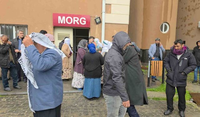 Diyarbakır'da yıldırım çarpması sonucu 2 kuzen hayatını kaybetti