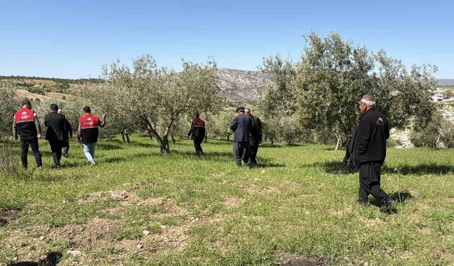Dolu sonrası hasar tespit çalışmaları başladı