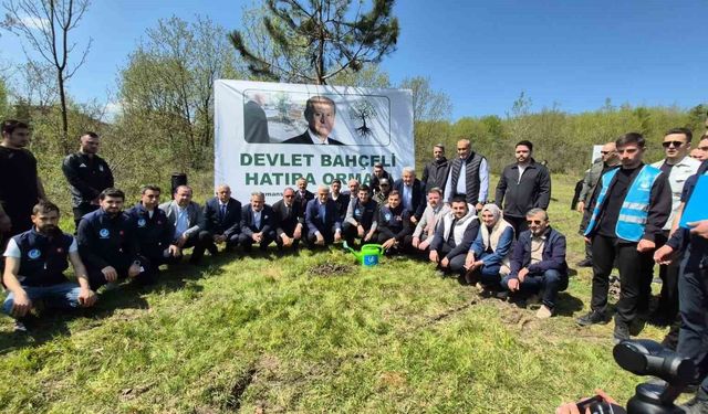 Düzce'de Devlet Bahçeli Hatıra Ormanı'na fidan dikildi