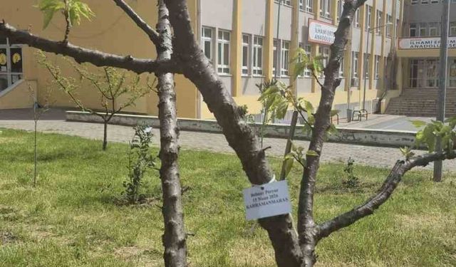 Edirne İlhami Ertem Anadolu Lisesi öğrencilerinden anlamlı etkinlik