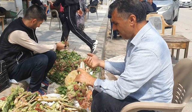 Elazığ'da bahar otları tezgahlarda yerini aldı